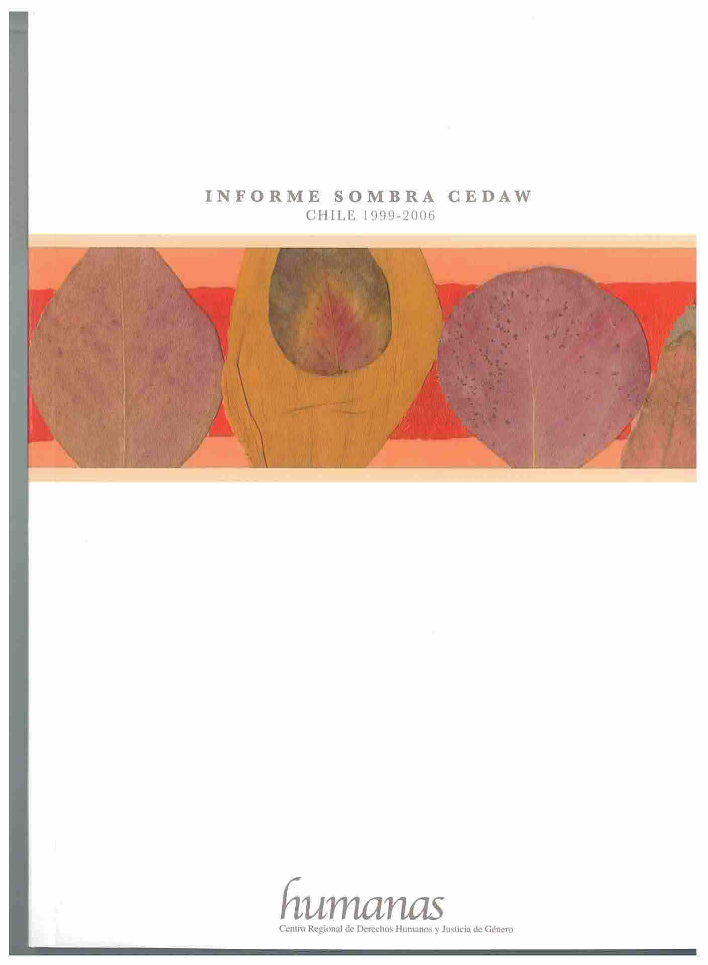 Informe sombra Cedaw Chile 1999-2006