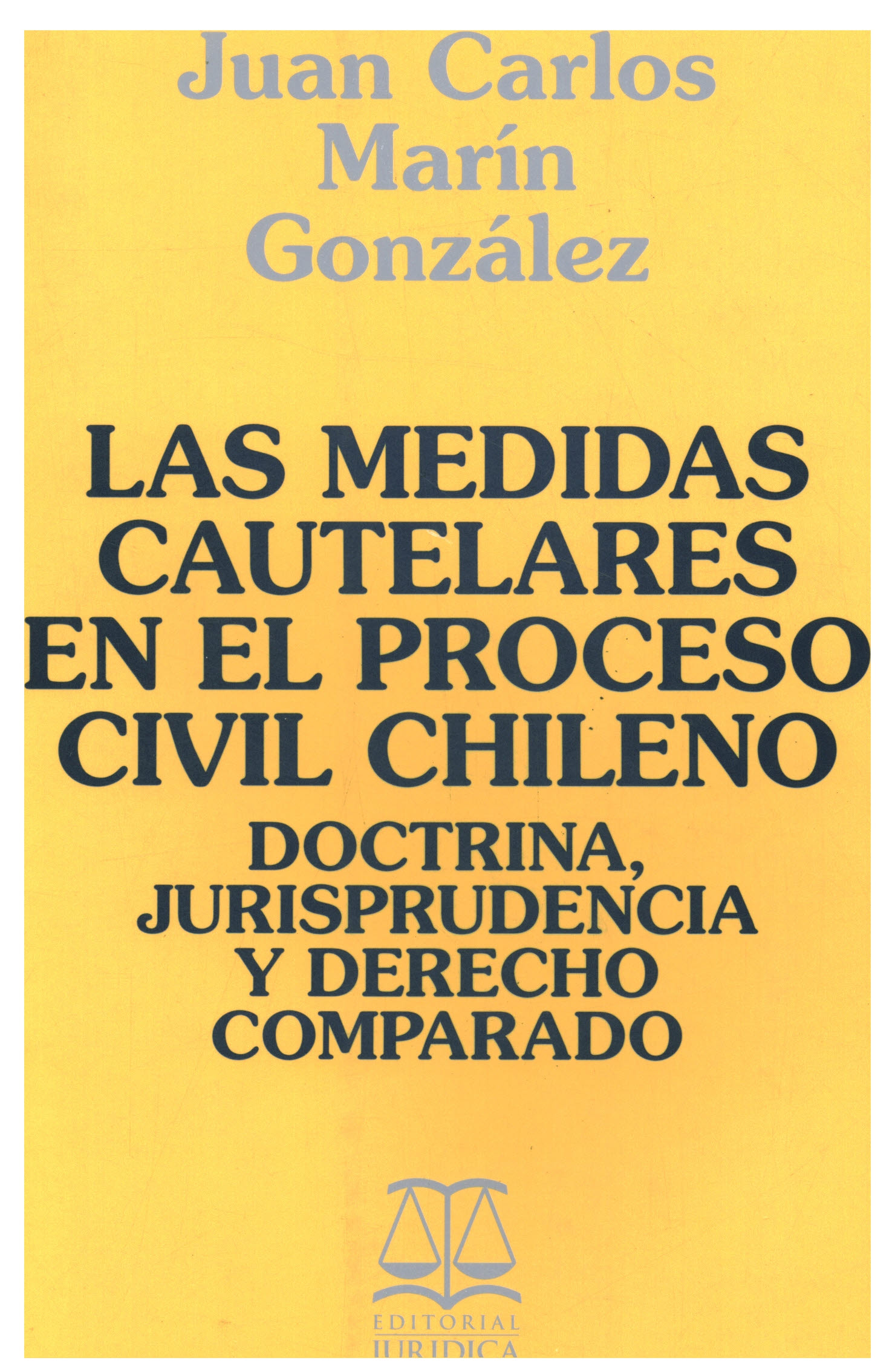 Las medidas cautelares en el proceso civil chileno. (Doctrina, jurisprudencia y derecho comparado)