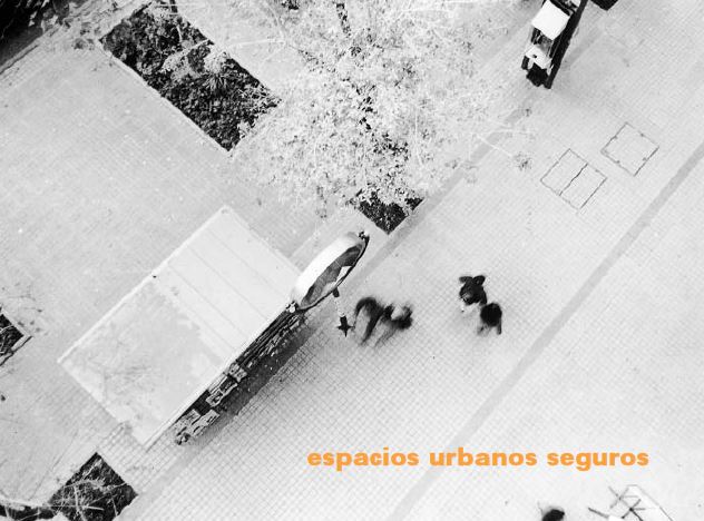 Espacios urbanos seguros : recomendaciones de diseño y gestión comunitaria para la obtención de espacios urbanos seguros