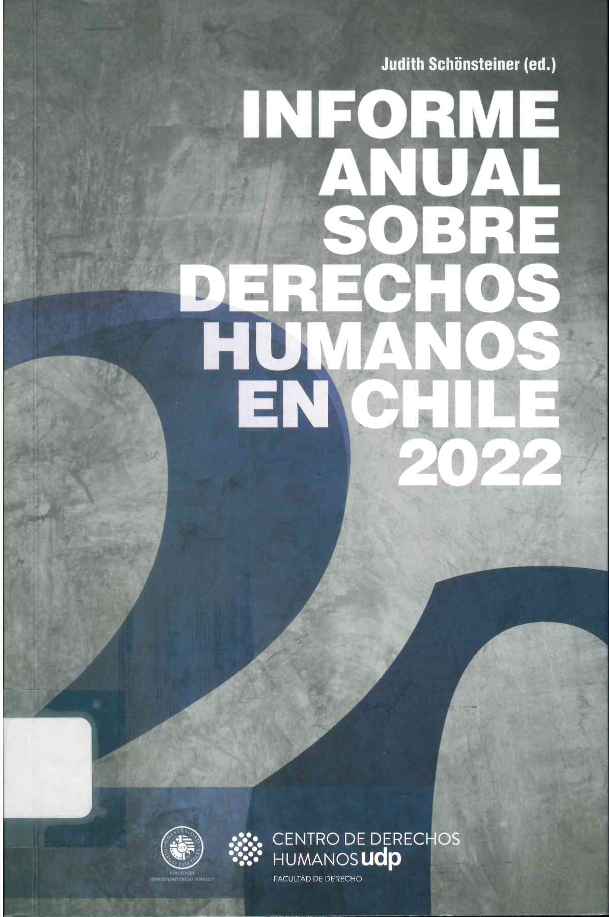 Informe anual sobre derechos humanos en Chile 2022