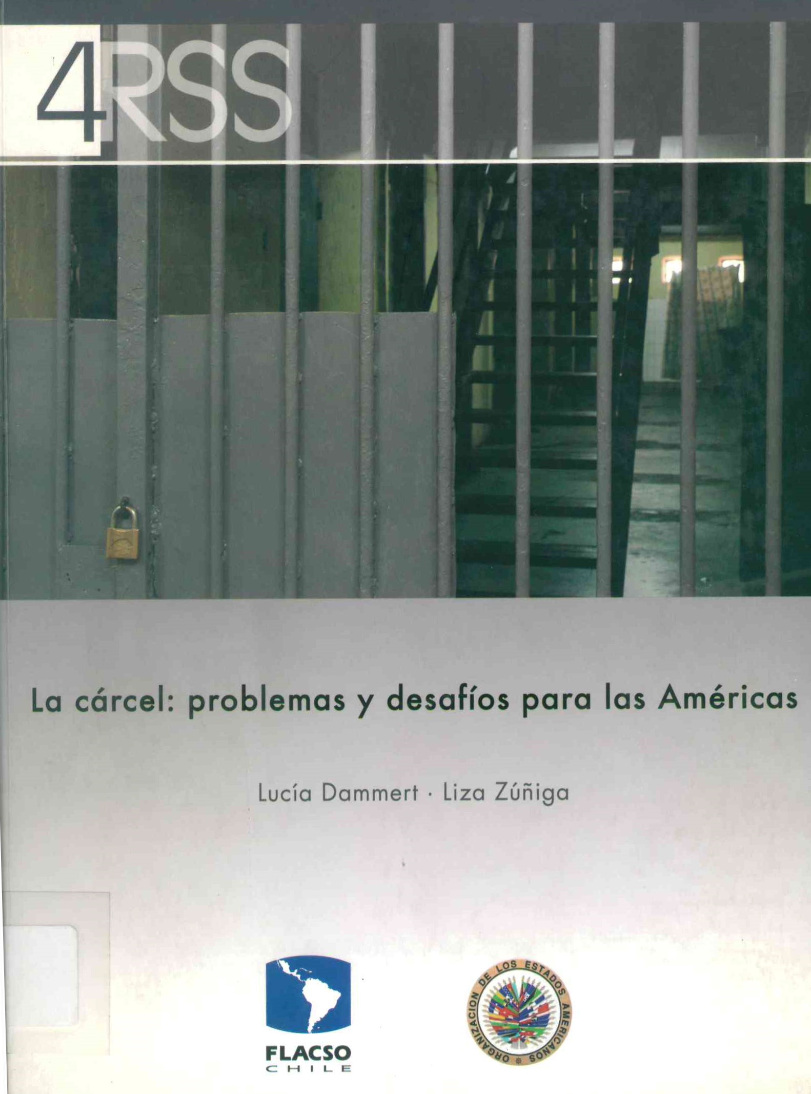 La cárcel: problemas y desafíos para las Américas