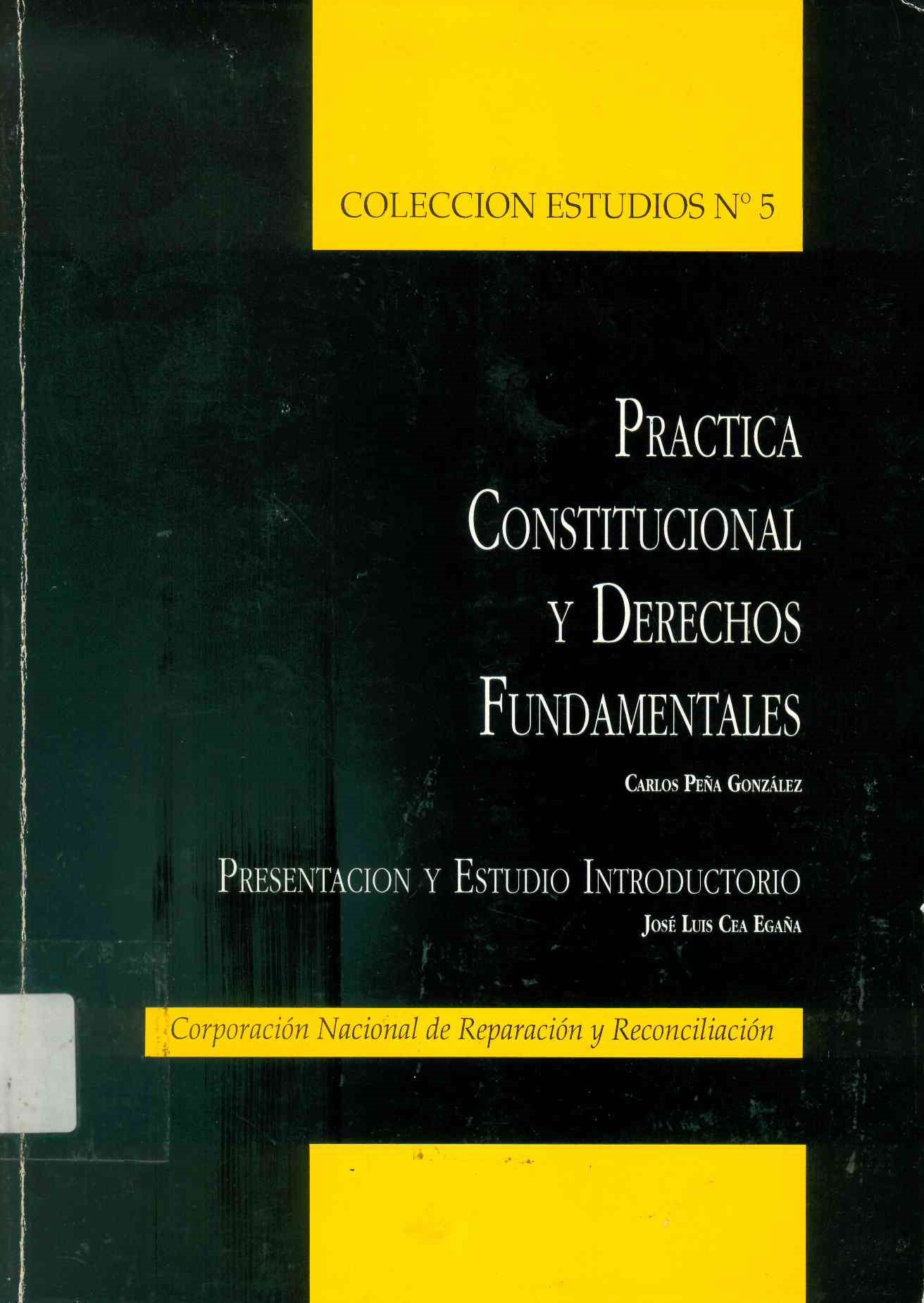 Práctica constitucional y derechos fundamentales. : presentación y estudio introductorio