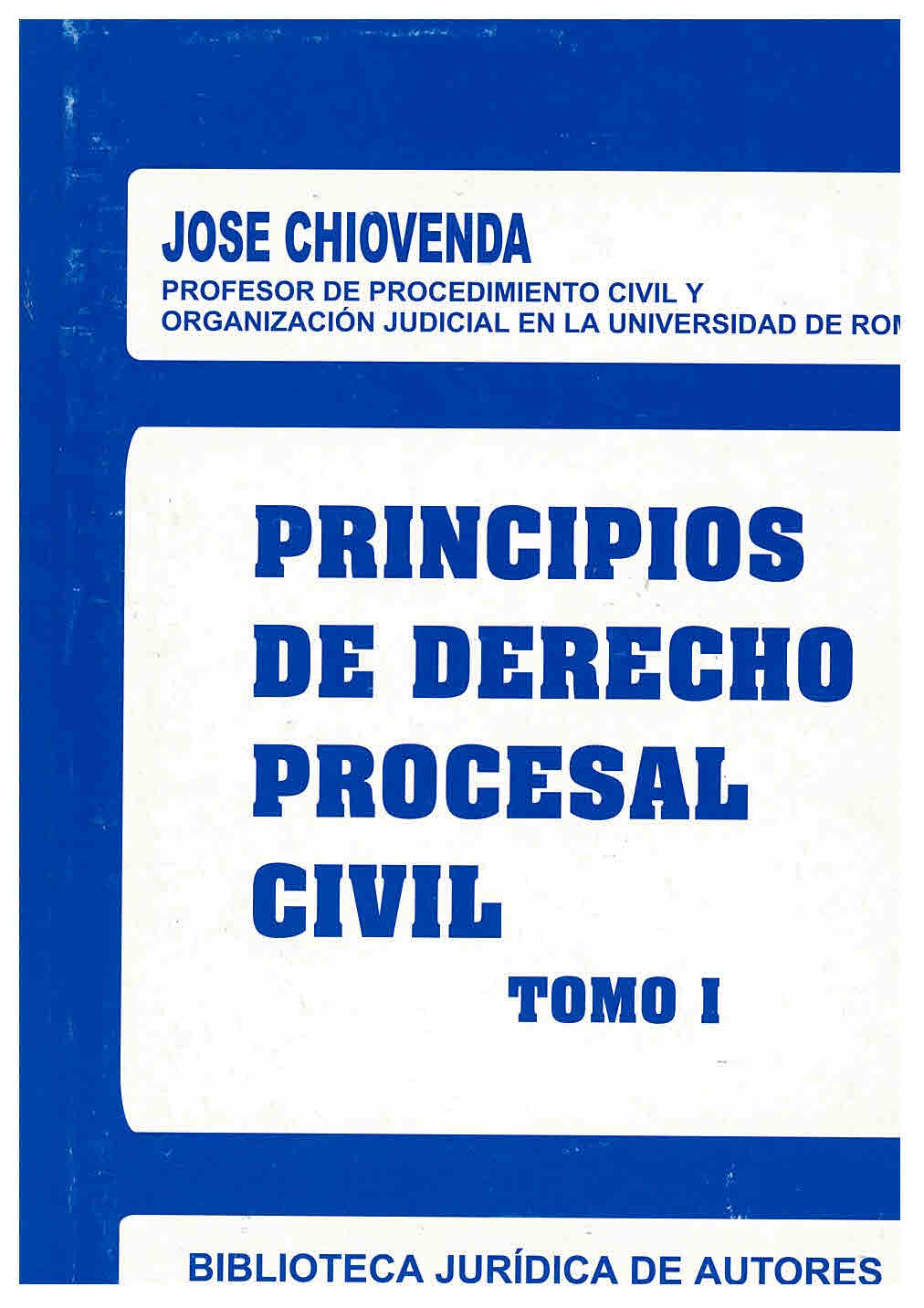 Principios de derecho procesal civil