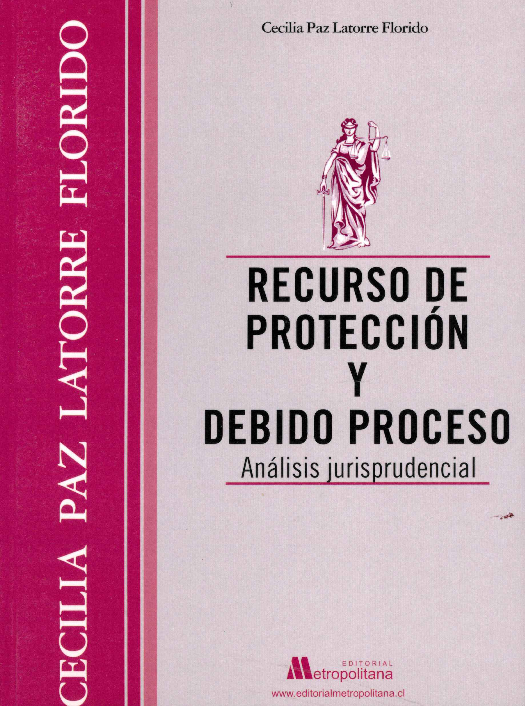 Recurso de protección y debido proceso. Análisis jurisprudencial