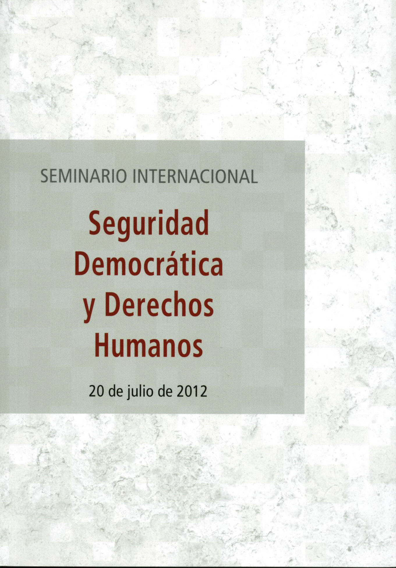 Seminario internacional seguridad democrática y derechos humanos