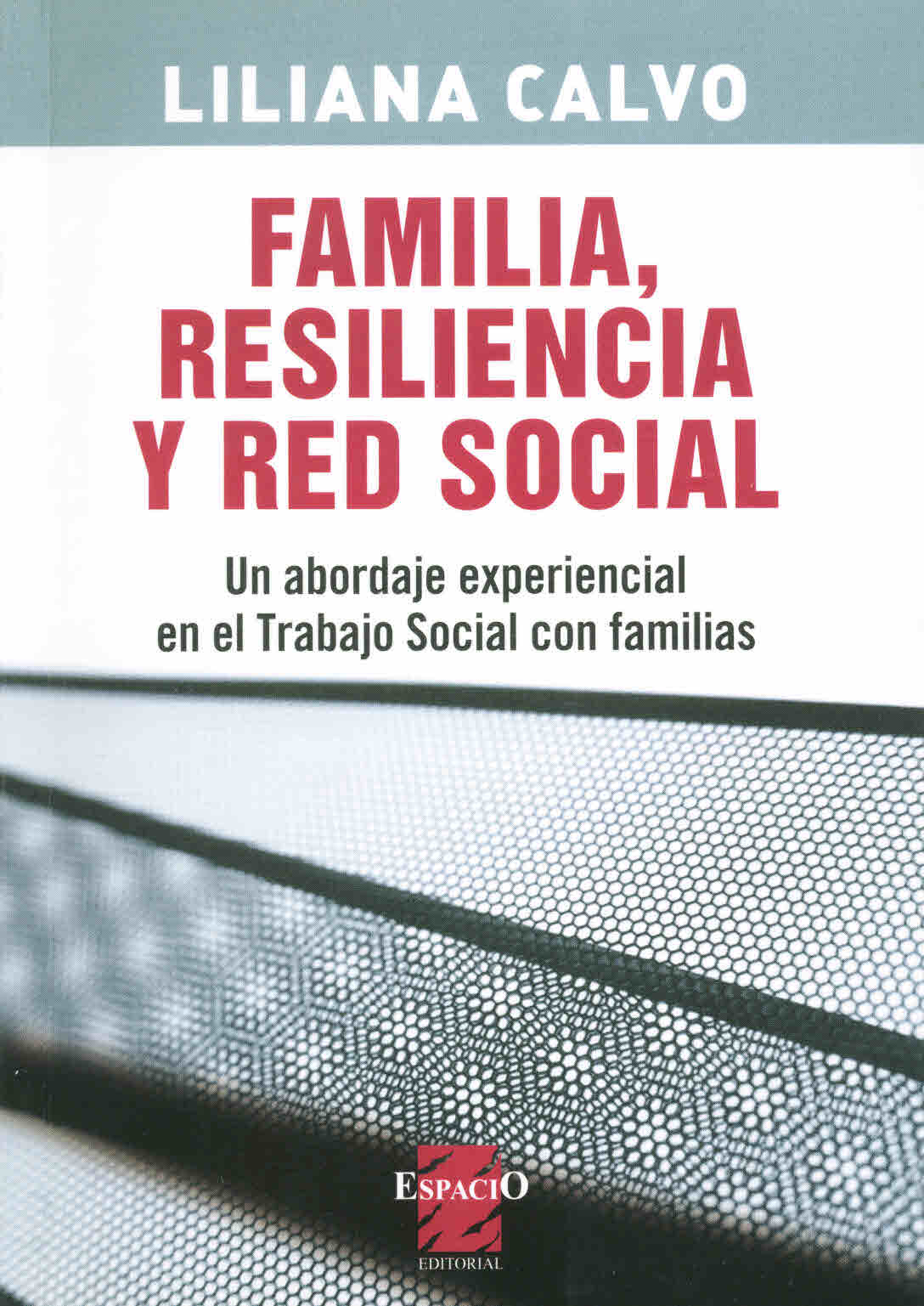 Familia, resilencia y red social. Un abordaje experiencial en el trabajo social con familias