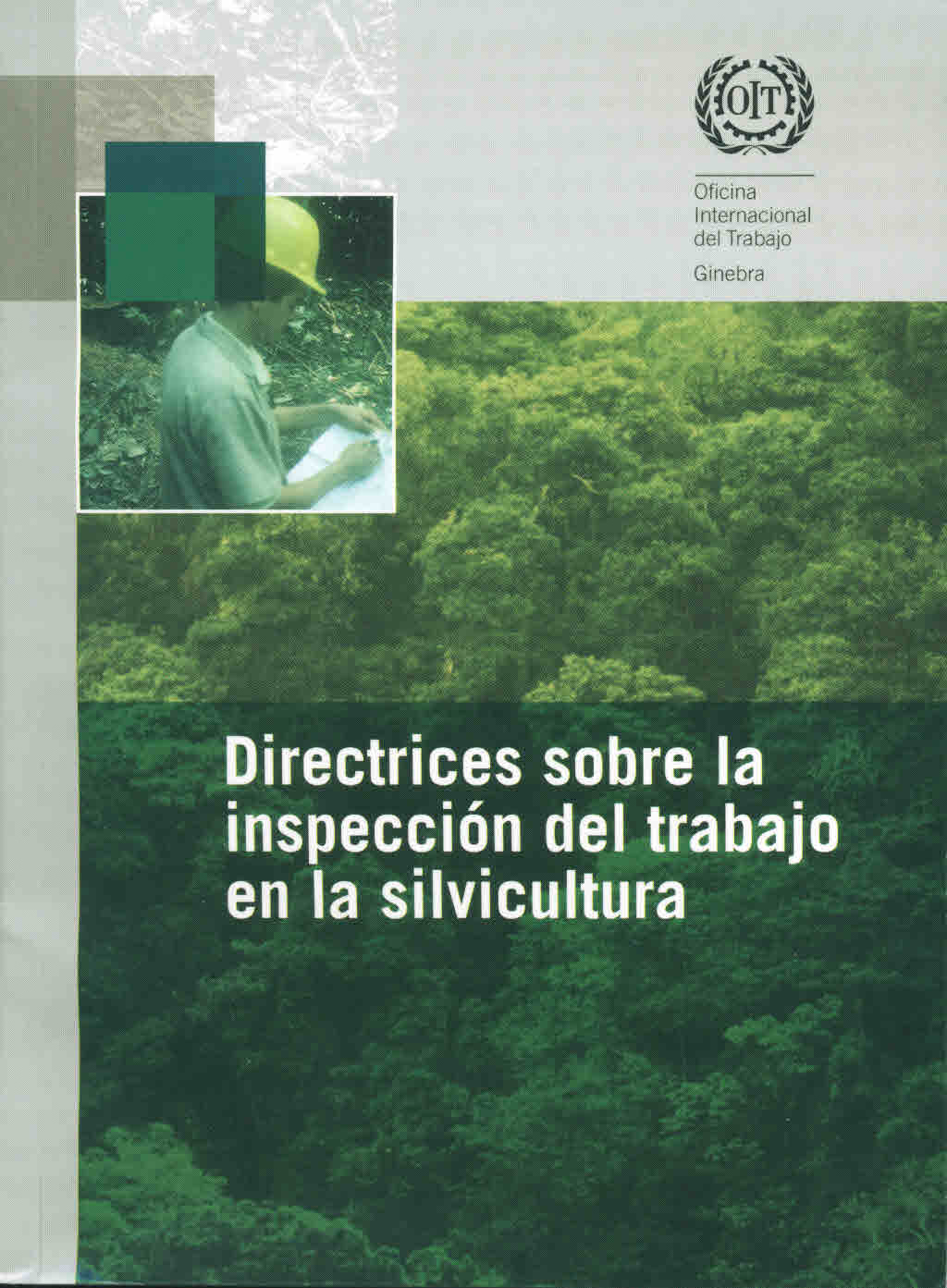Directrices sobre la inspección del trabajo en la silvicultura