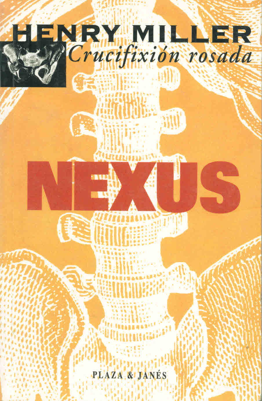 Nexus. La crucifixión rosada III