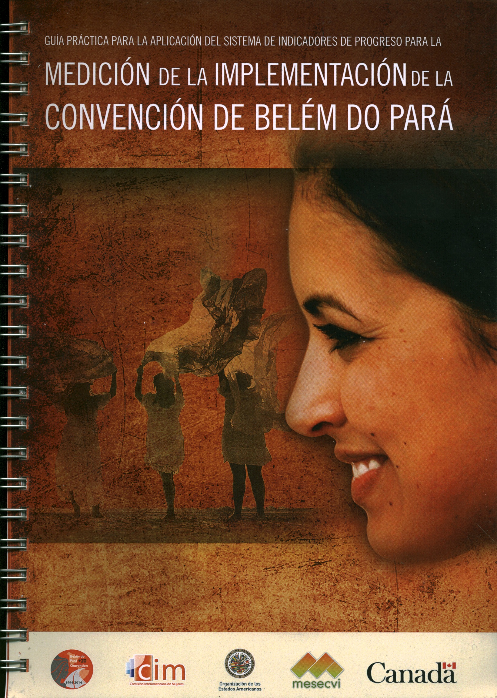 Guía práctica para la aplicación del sistema de indicadores de progreso para la medición de la implementación de la Convención de Belem do Pará